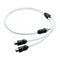 JL Audio 2 Channel Marine Audio Y-Adaptor 1 Male Plug to 2 Female Jacks - XMD-WHTAICY-1M2F [010-13553-00]