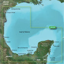 Garmin BlueChart g3 Vision HD - VUS032R - Southern Gulf of Mexico - microSD/SD [010-C0733-00] - Mealey Marine