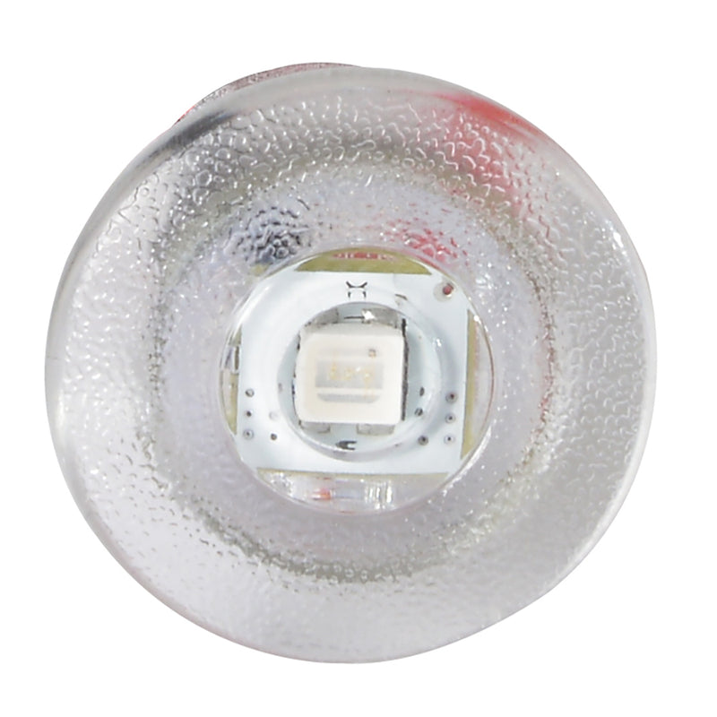 Lumitec Newt - Livewell & Courtesy Light - Red Dimming [101086] - Mealey Marine