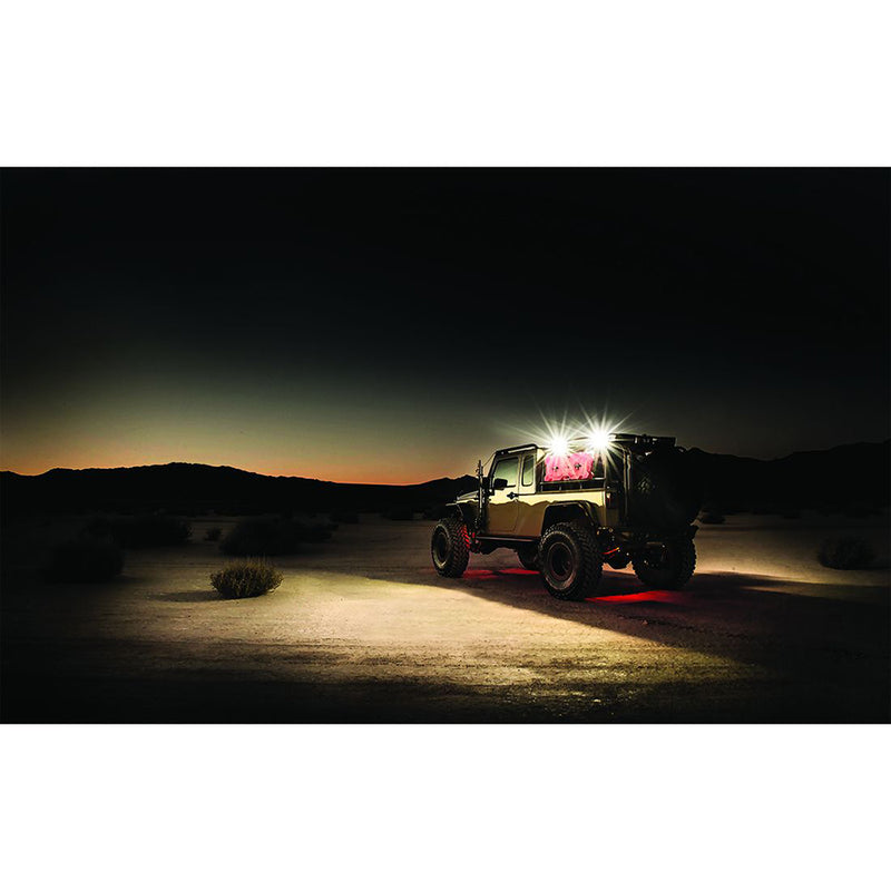 RIGID Industries 2x10 115 DC Scene Light Black - White LED [68131] - Mealey Marine