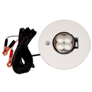 Hydro Glow FFL12 Floating Fish Light with 20 Cord - LED - 12W - 12V - Green [FFL12G] - Mealey Marine