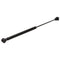 Sea-Dog Gas Filled Lift Spring - 10" - 40# [321424-1] - Mealey Marine