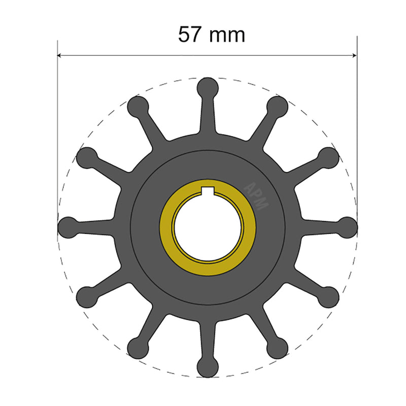 Albin Pump Premium Impeller Kit 57 x 12.7 x 20mm - 12 Blade - Key Insert [06-01-013] - Mealey Marine