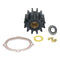 Johnson Pump Service Kit F6B-9 [09-45825] - Mealey Marine