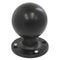 RAM Mount RAM Round Plate w/Ball - 2.25" - D Size Ball - Hole Plate [RAM-D-254-WD1U] - Mealey Marine