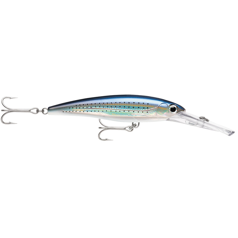 Rapala X-Rap Magnum 15 Spotted Minnow [XRMAG15SPM] - Mealey Marine