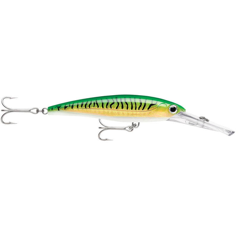 Rapala X-Rap Magnum 20 Gold Green Mackerel [XRMAG20GGM] - Mealey Marine