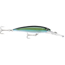 Rapala X-Rap Magnum 20 Yellowfin Tuna [XRMAG20YFT] - Mealey Marine