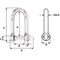 Wicahrd Self-Locking Long D Shackle - Diameter 5mm - 3/16" [01212]